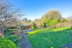 Photo 11- click for photo gallery